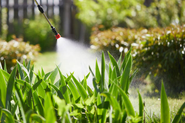 24/7 Emergency Fumigation Services experts in Thorofare, NJ
