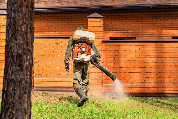 Trusted Mosquito Control service in Thorofare, NJ - Nex Pest Control